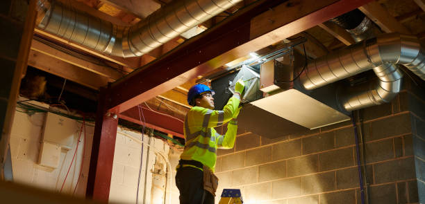Best Air Duct Mold Removal  in Mattawan, MI